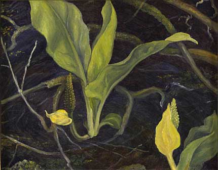 Skunk Cabbage Oil on Panel 12" x 16", 1942